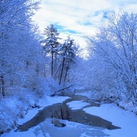 nature winter