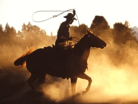 cowboy - lasso, dust, sunset, western, horses, nature, horse, cloud, cowboy