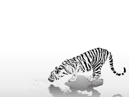 Black N White Tiger - smoothsqu4d