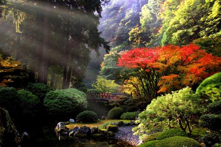 Japanese Garden - fullcolours, trees, water, beautiful, garden, art photo, sunshine, bridge