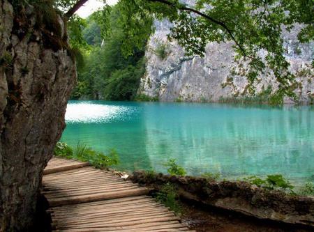 Lake - blue, tree, turqouse, green