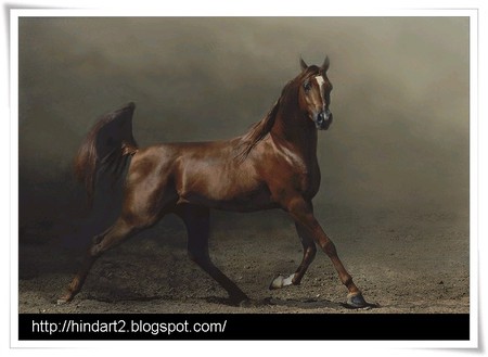 Majestic - oriental, chestnut, arabian, horses