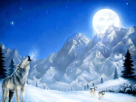 WOLVES IN SNOW