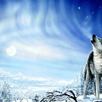 WOLF SONG