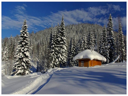 SNOW DUST - ice, hut, landscape, trees, winter, covered, tatched, house, pines