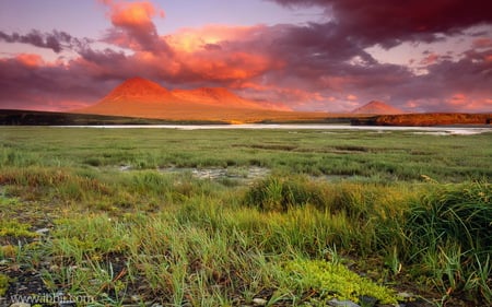 Sunset in green fields - sunset, nature, green, fields