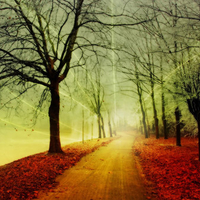 Fantasy autumn