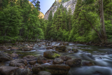 God's Creation - trees, river, water, rocks, creek