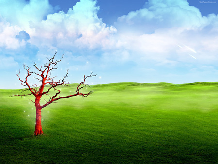 Fantasy landscape - sky, tree, landscape, grass