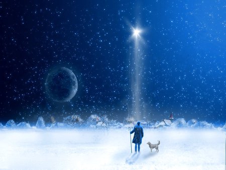 CHRISTMAS NIGHT - moon, star, snow, night, christmas