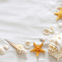 shells