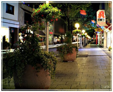 Night Flowers Street - pots, beautiful, empty, night, flowers, street, red, green, lamplighter, art photo