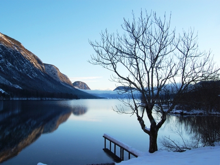 Shadows of winter - lake, tree, mountain, reflection