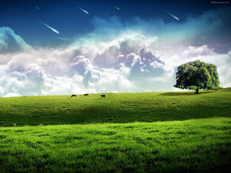 Fantasy field - cloud, sky, tree, nature, grass