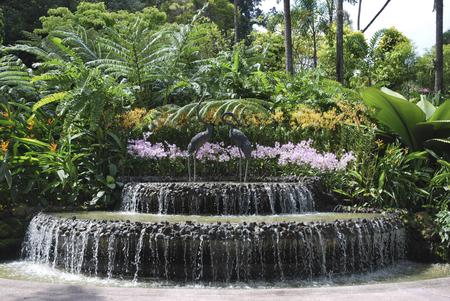 Waterfall - flowers, trees, nature, waterfall, sky