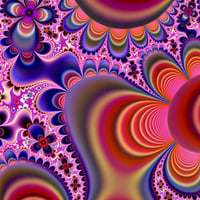 Fractal 14