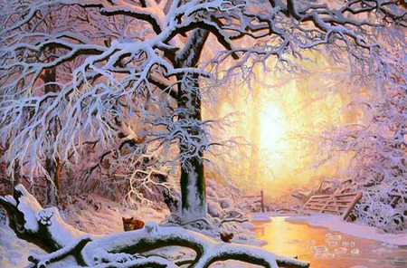 Winter\'s Light - ice, squirrel, sunlight, trees, gate, winter, stream, creek, fox, cold, snow, sunrise