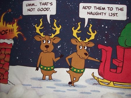 Christmas eve nite - christmas, winter, rooftop, deer