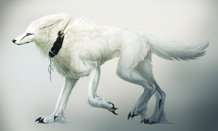 wolf - white, abstract, cg, 3d