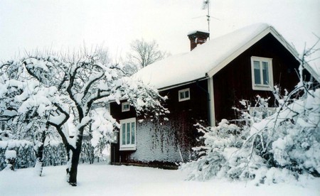 Cottage winter - cottage, abstract, sky, photography, winter, tree