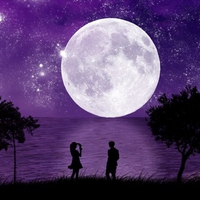 PURPLE NIGHT