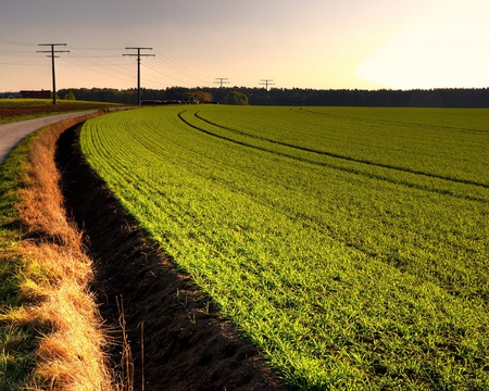 Green_Field - cloud, sky, forest, road, landscape, nature, green