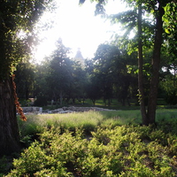 Margaret Island