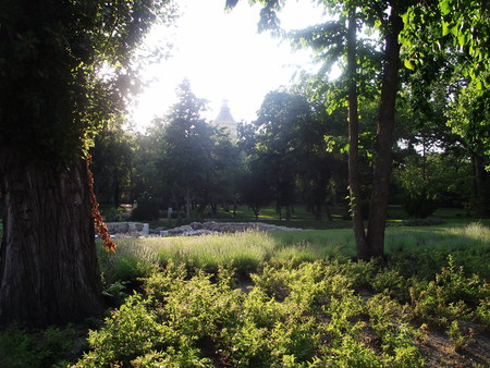 Margaret Island - sunset, budapest, island, field, light