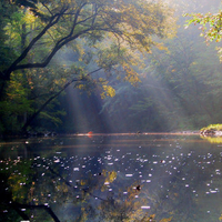 Valentine's Bend at Summer Morning