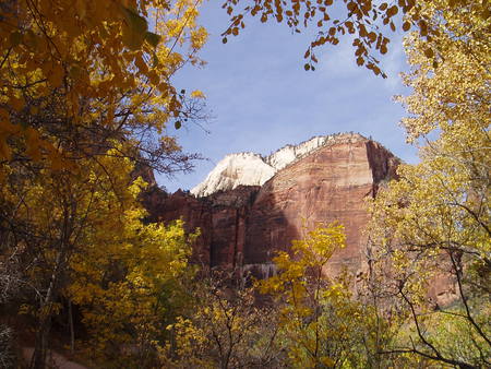 Zion in the fall - fall, zion, mountain, foliage