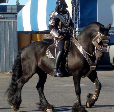 Halloween Horse - horses, halloween, freak, dutch, friesian, draft horse, black