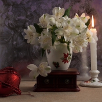 still life