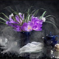 still life