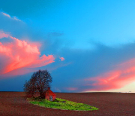 Quiet little spot - cottage, isolated, pink clouds, blue sky, tree, small patch of grass