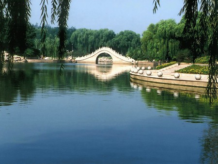 Dragon Pool Lake - willows, china, trees, landscape, water, park, steps, flowers, statues, bridge, garden, asia