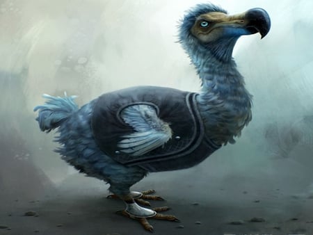 Dodo - flightless, artwork, extinct, animal, fantasy, bird