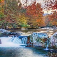 River Autumn Fall