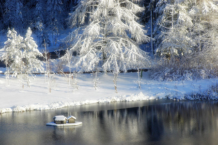 River in winter