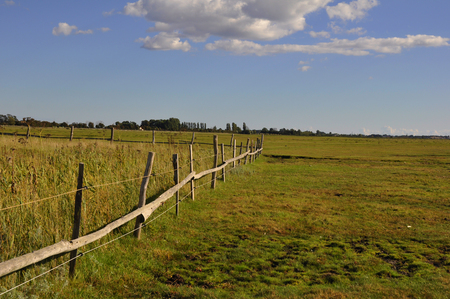 endless freedom - september, freedom, endless, sweden