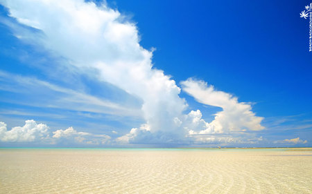 Endless Beach - sands, beach, blue, clouds