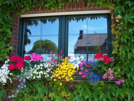 window reflection - flowers, pots, fullcolours, beautiful, house reflection, window, art photo