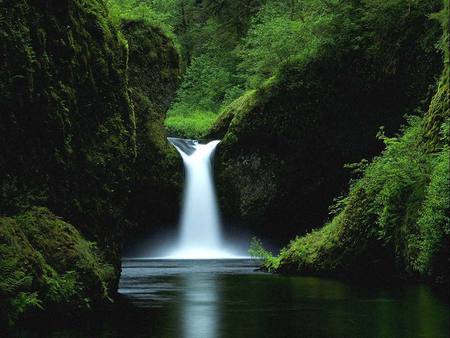 Nature_waterfall - landscape, trees, reflection, jungle, water, green, grass, waterfall