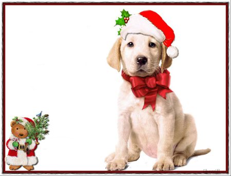 santa doggy with mouse friend - white lab, santa, dogs, mice, tree, new