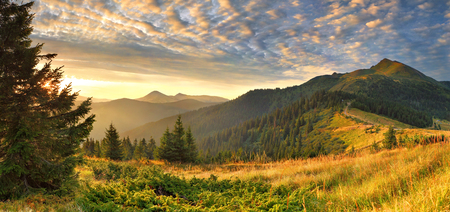 landscape - hills, landscape, grass, sunrise, light, mountain, view, landscapes, nice, sky, sun, clouds, trees, beautiful, morning, cool, nature, sunset, cloud, pictures, mountains