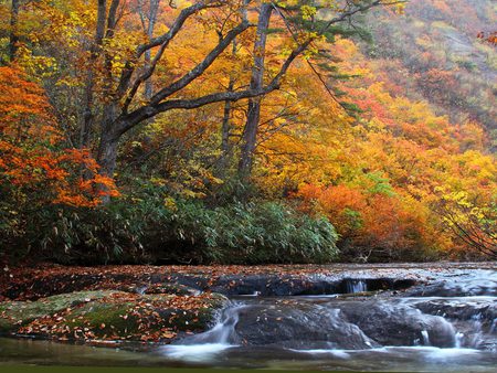 Beauty of Autumn - red, fall, rocks, water, waterfall, colour, leaves, yellow, season, orange, trees, cascade, green