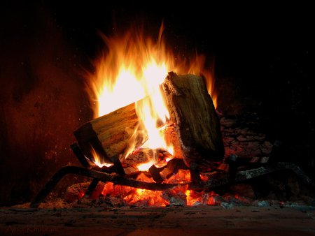 wood fuel - burning, fire, wood fuel