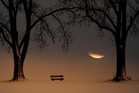 A PLACE OF SILENCE - trees, sunset, seat, stillness, snow, sun