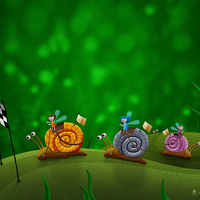 Snail-Racing