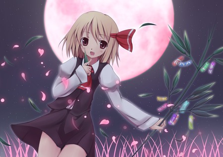 mysterious night~ - glow, touhou, rumia, fields, pink moon, night, petals, red moon