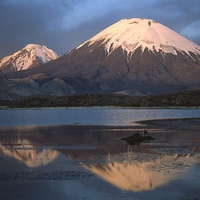 Lauca National Park